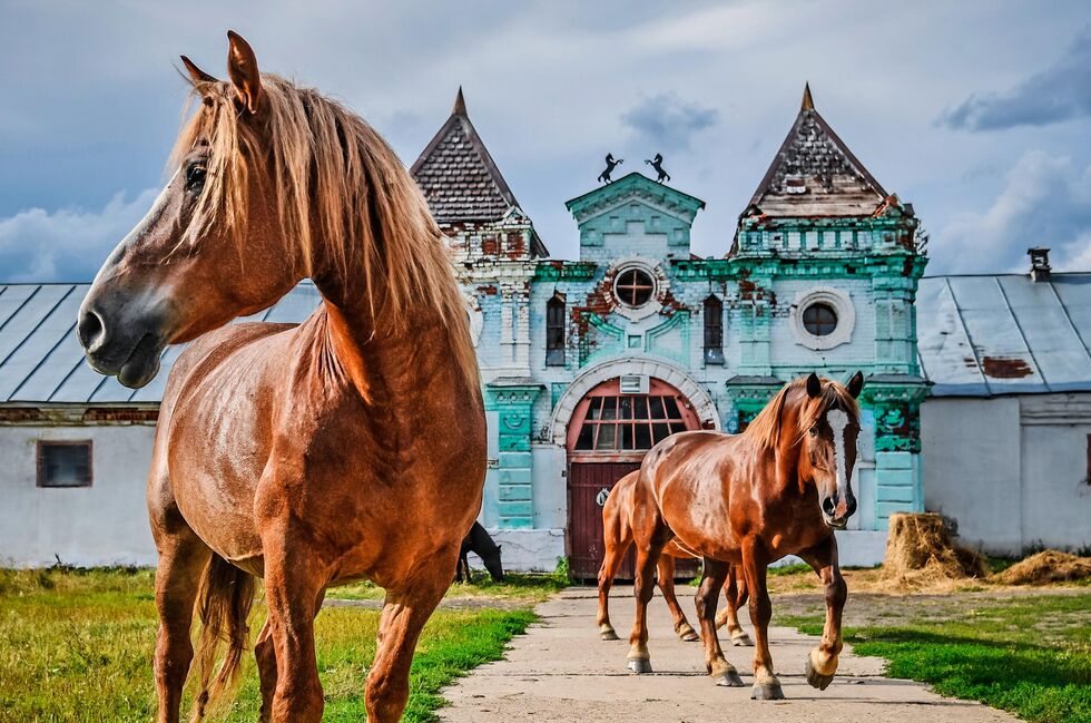 Для страницы Реклама и Спецпроекты. Анонс Фотопроекты - «Россия сегодня», 980